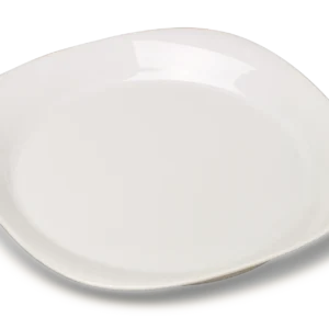 Assiette carrée Labattut 210x210mm